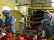 Ứng dụng enzyme trong sản xuất nước thanh long